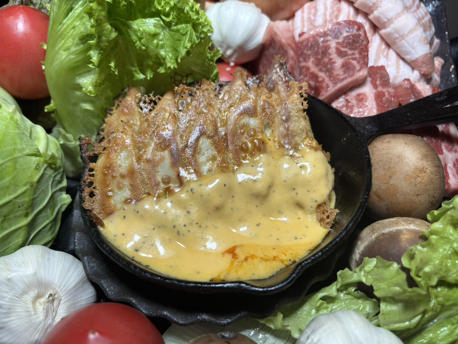 餃子専門丸虎MARCO 炙りカルビ餃子 とろとろチーズソース